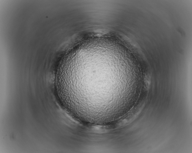 X0000111590657200907231215