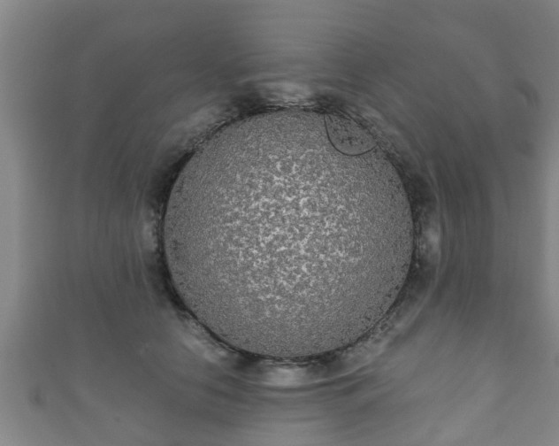 X0000111590658200907231215