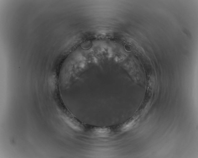 X0000111590659200907231215