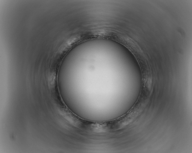 X0000111590660200907231215