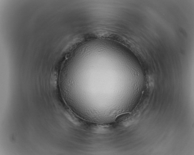 X0000111590664200907231215