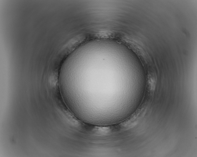 X0000111590665200907231215