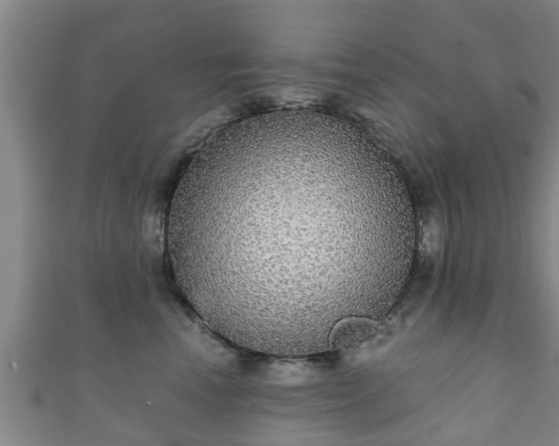 X0000111590666200907231216