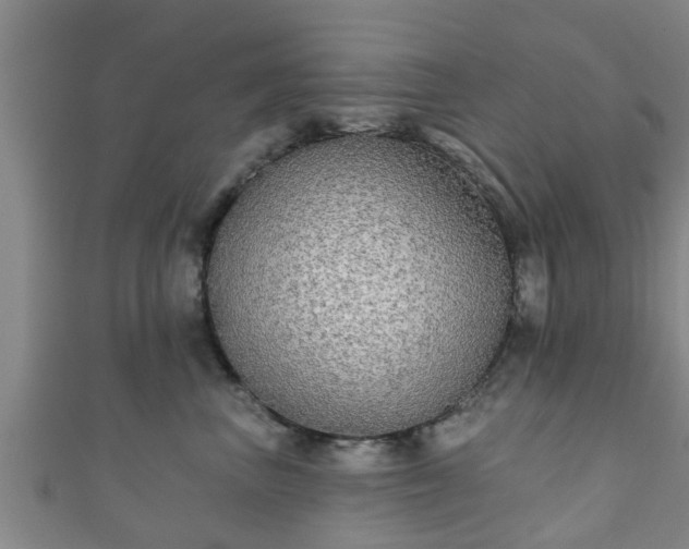 X0000111590667200907231216