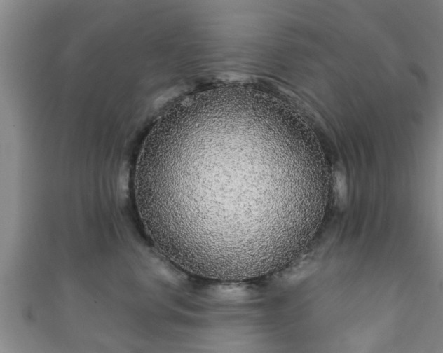 X0000111590668200907231216