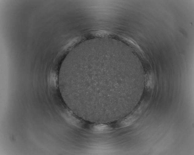 X0000111590669200907231216