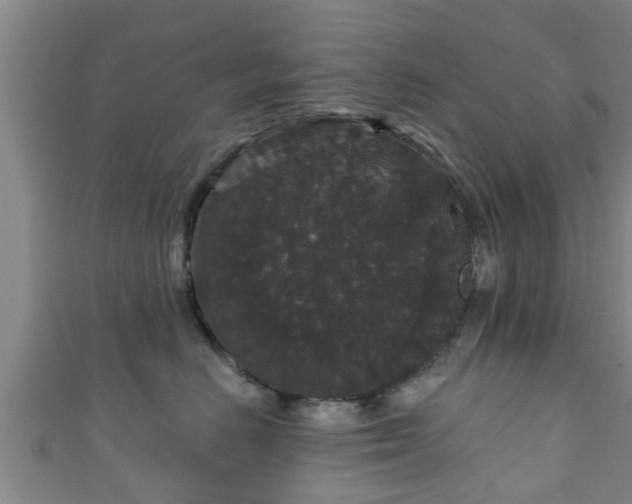 X0000111590670200907231216