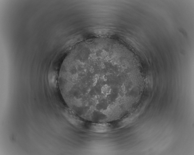 X0000111590671200907231216