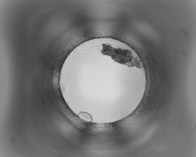 X0000111590672200907231216