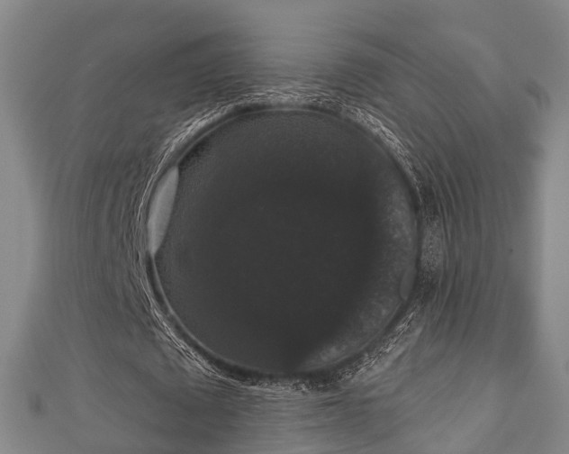 X0000111590673200907231215