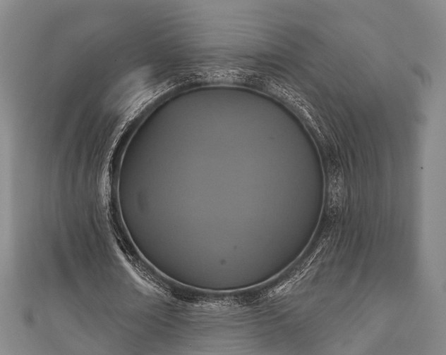 X0000111590674200907231215