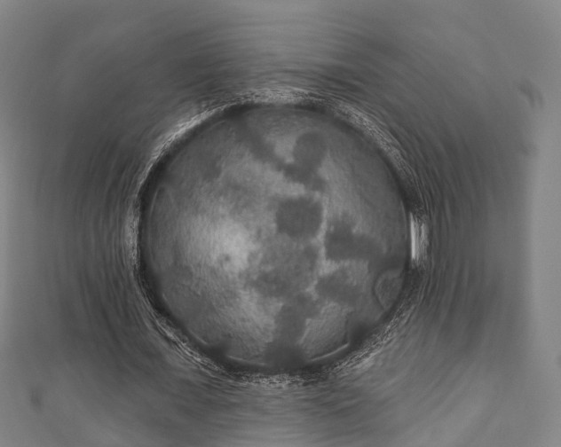 X0000111590675200907231215