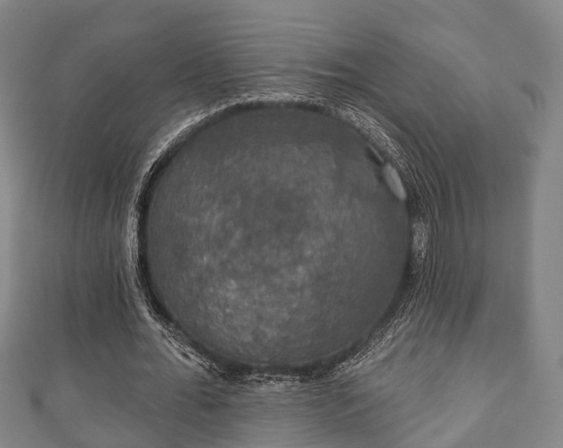 X0000111590676200907231215