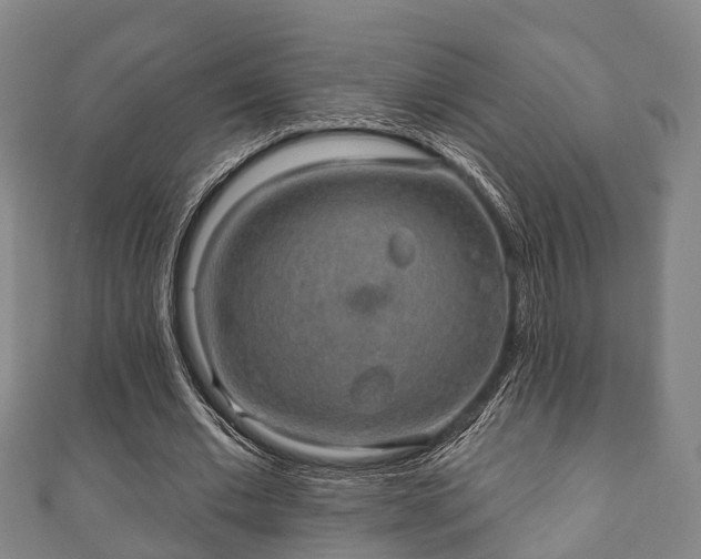 X0000111590677200907231215