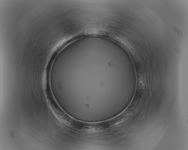 X0000111590678200907231215