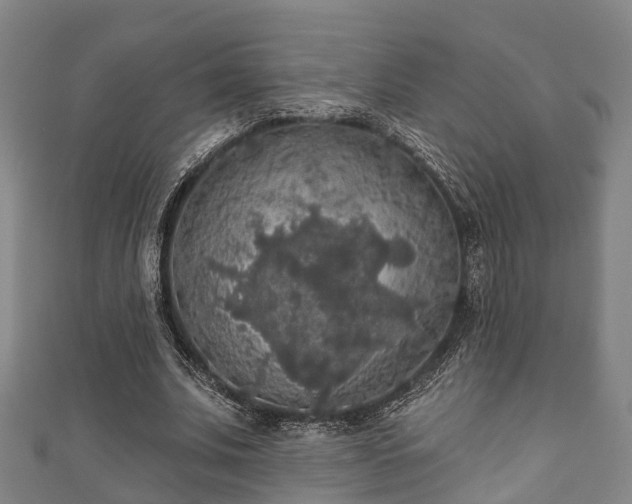 X0000111590679200907231215