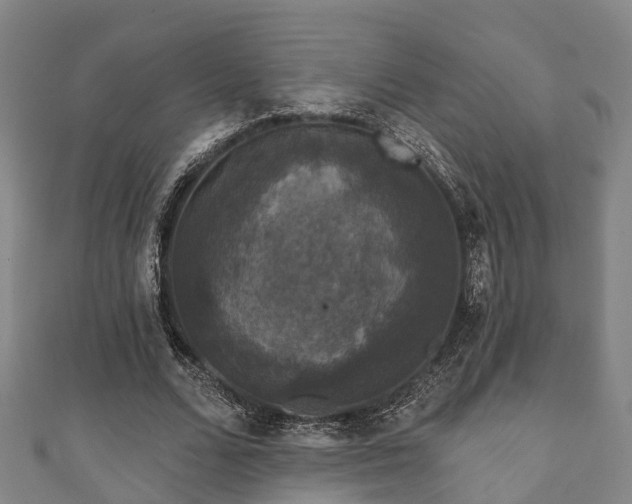 X0000111590680200907231215