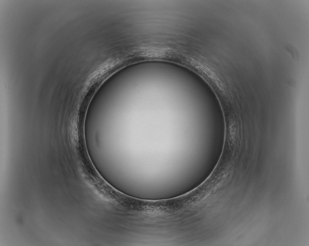 X0000111590682200907231215