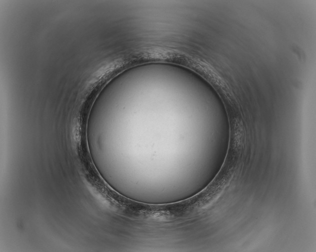 X0000111590683200907231215