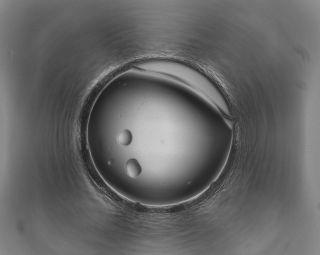 X0000111590684200907231215