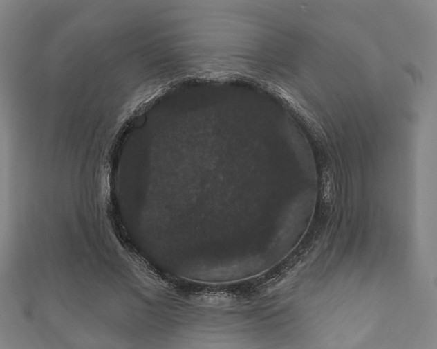 X0000111590685200907231215