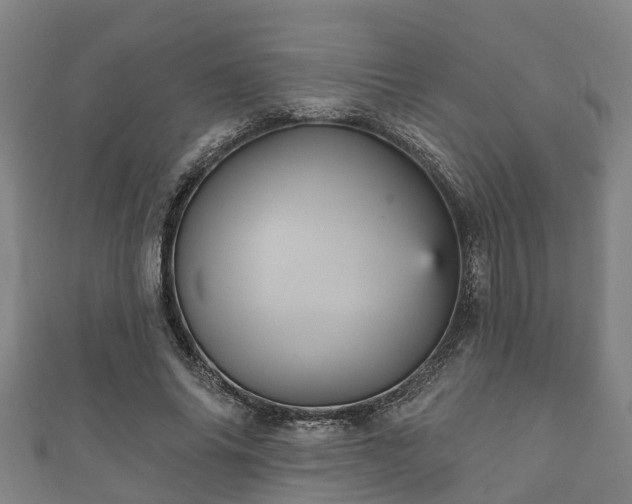 X0000111590686200907231215