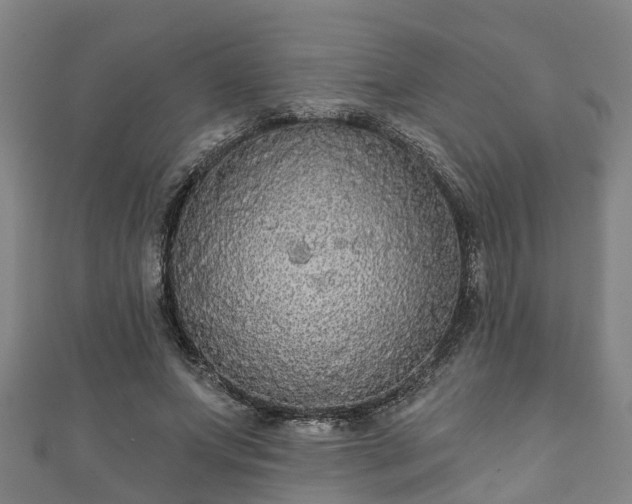 X0000111590687200907231215