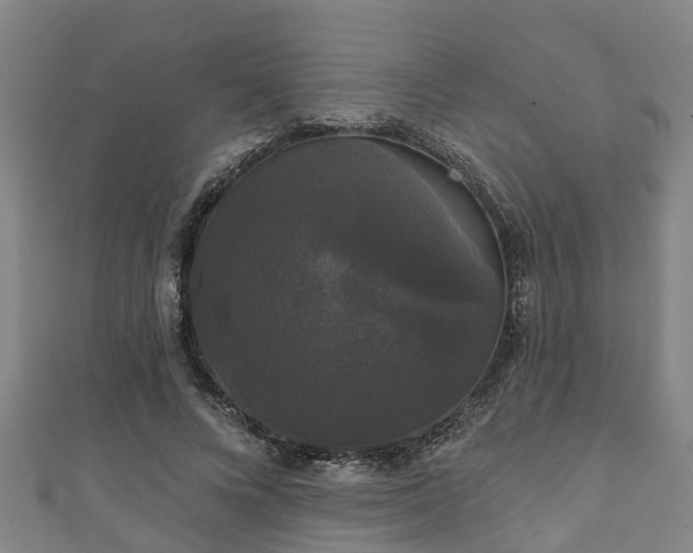 X0000111590688200907231215