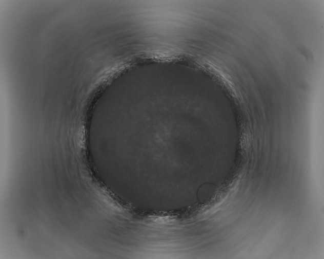 X0000111590689200907231215