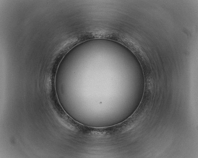 X0000111590690200907231215