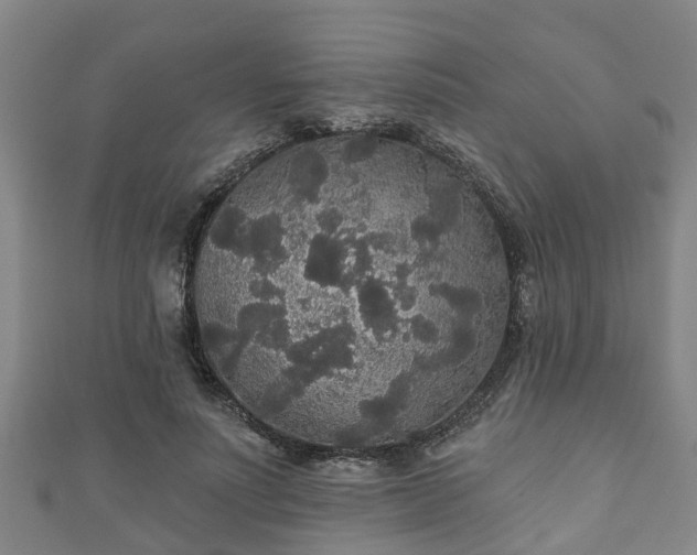 X0000111590691200907231215