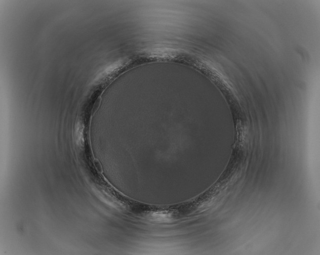 X0000111590692200907231215