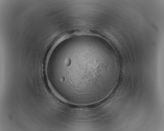 X0000111590693200907231215