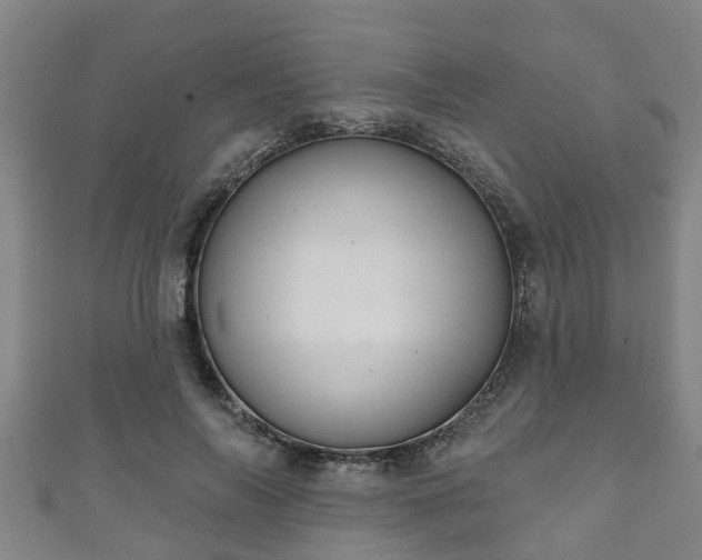 X0000111590694200907231215