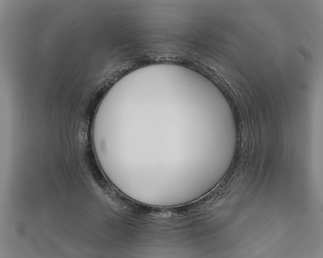 X0000111590695200907231215