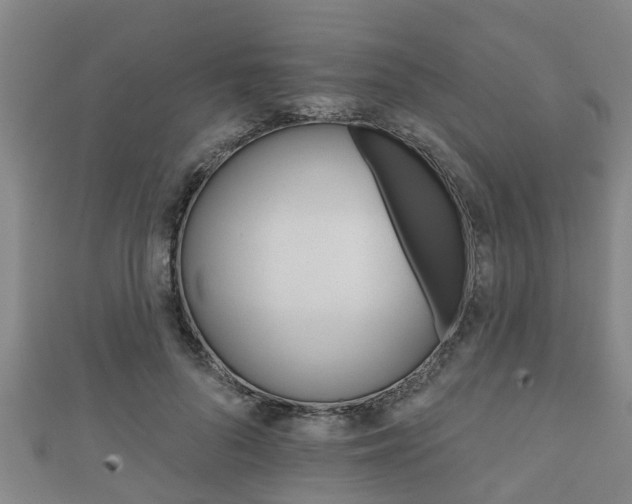 X0000111590696200907231215