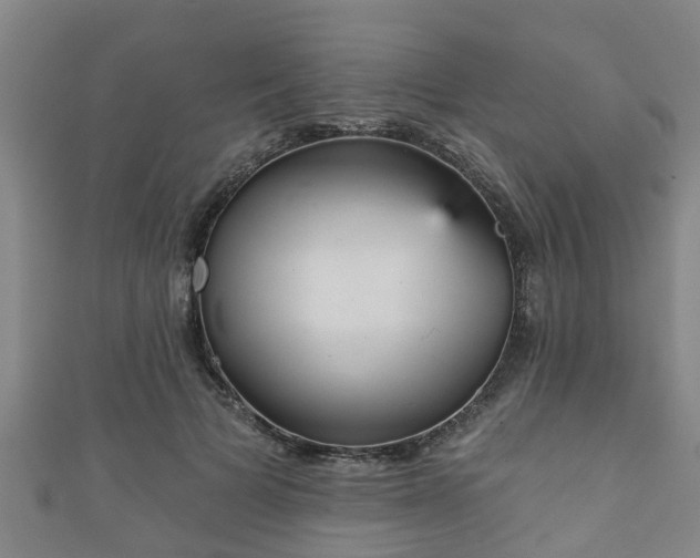 X0000111590697200907231215