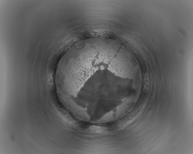 X0000111590699200907231215