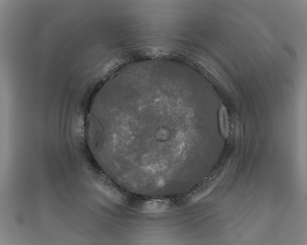 X0000111590700200907231215