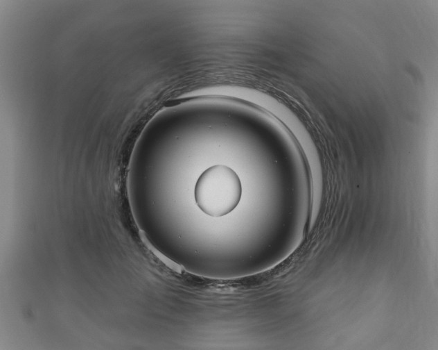 X0000111590701200907231215