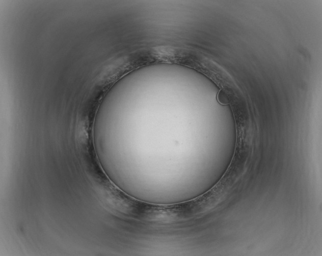 X0000111590702200907231215