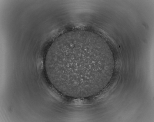 X0000111590703200907231215