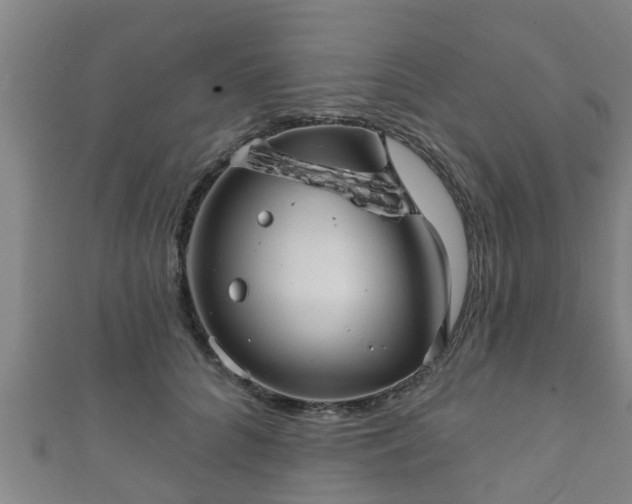 X0000111590704200907231215