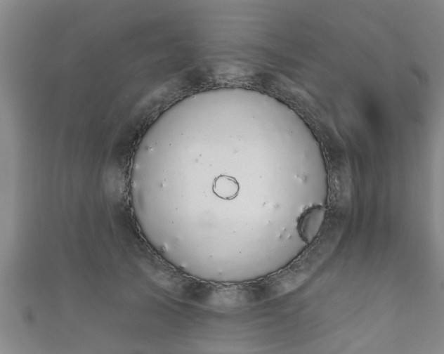 X0000111590705200907231215