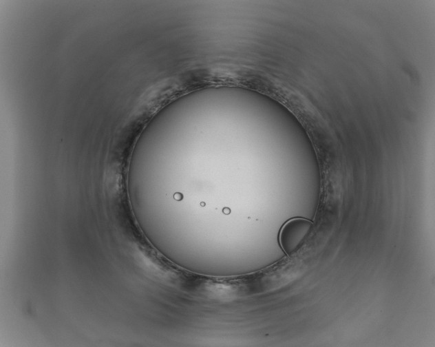 X0000111590706200907231215