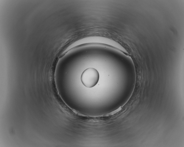 X0000111590708200907231215