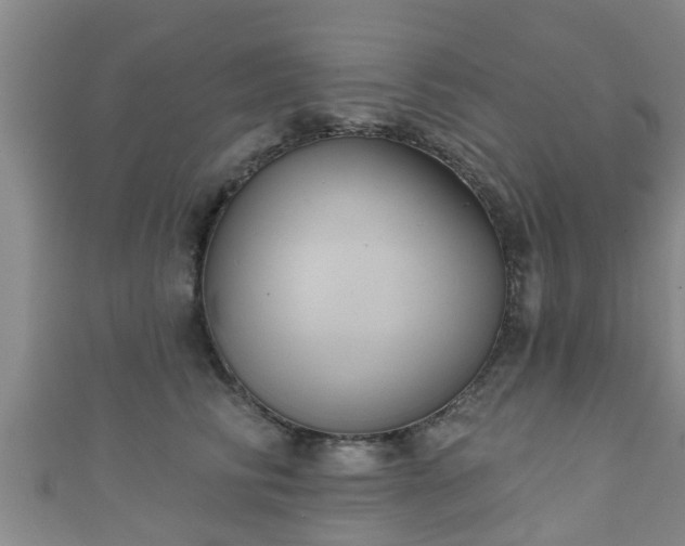 X0000111590710200907231214