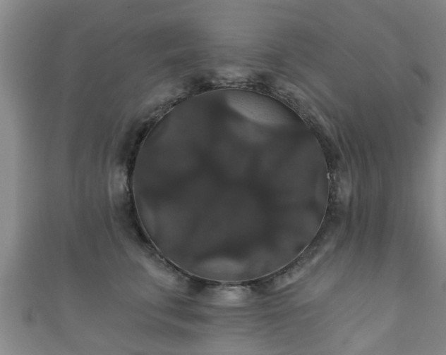 X0000111590711200907231214