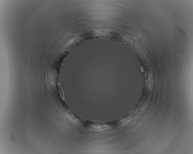 X0000111590712200907231214