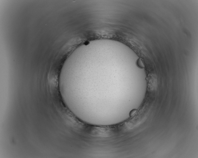 X0000111590713200907231214